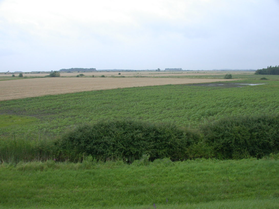 green field from sites in hungary